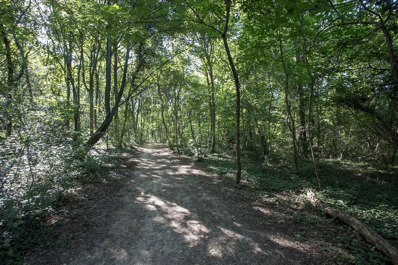 2.1 En libre accès 1 Promenade nature et patrimoine Copyright Baltik Métropole de Lyon 4