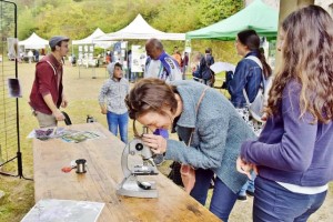Grandes Terres en fête 2