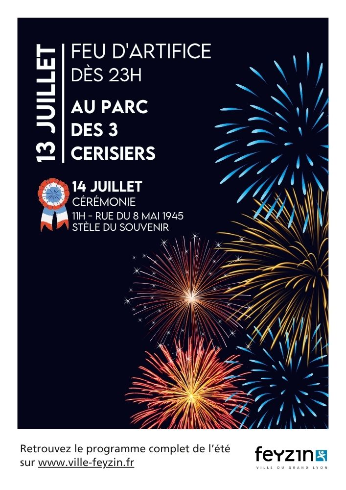 Fête nationale feu web