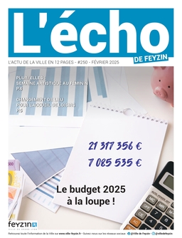 Echo Feyzin 250 Une 256